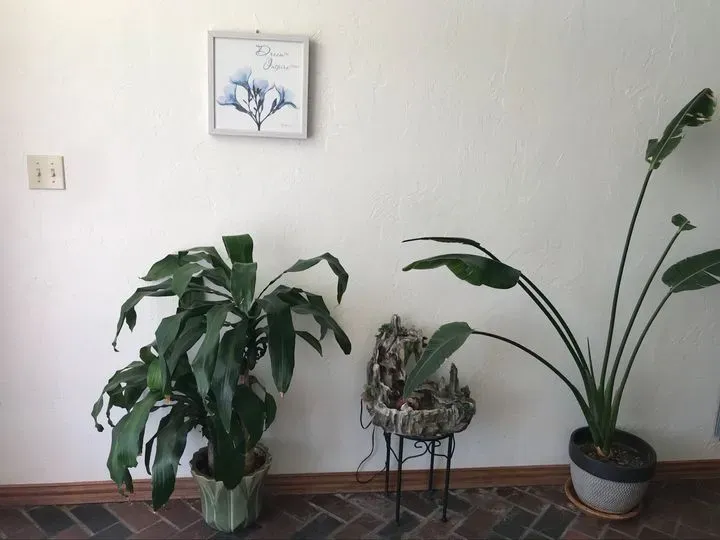 https://cdn.salonspotlight.com/photos/3ibOTDm05WCfmKSF0eZ9/94706777-59b9-4f03-8cfb-e21c5acc3bc0_720x720