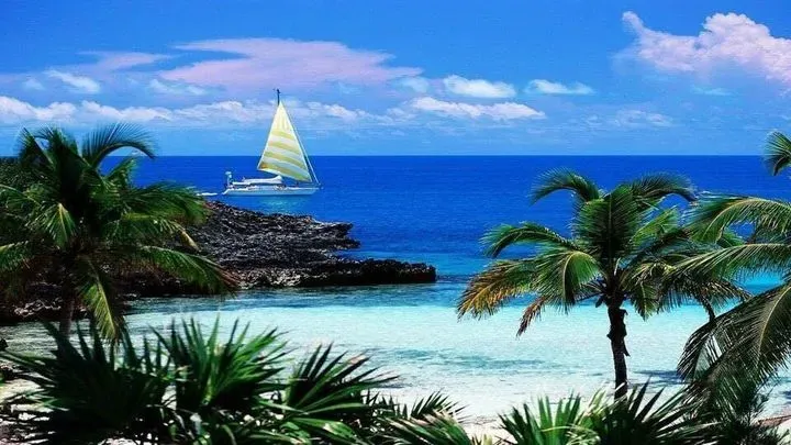 https://cdn.salonspotlight.com/photos/4dPuzG9cKMHEETnCFo9O/e036c91b-c616-4477-bab9-a59601f41b27_720x720