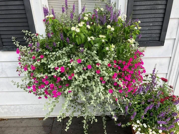 https://cdn.salonspotlight.com/photos/5sUIqYtUvUeBbMG3bCZW/c8037f67-25a5-4f44-a86d-52ec64264d00_720x720