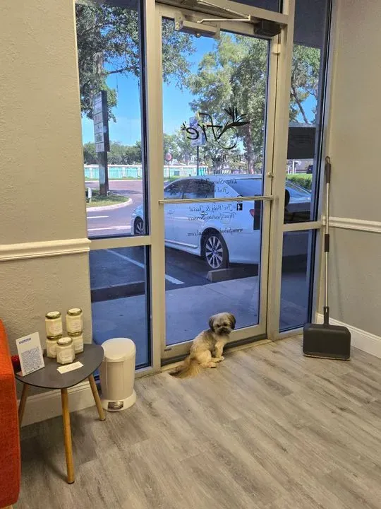 https://cdn.salonspotlight.com/photos/6BWqt4IC5p400iAEMv1S/e8bce440-14a5-4f2e-a1dc-e4bec390d225_720x720