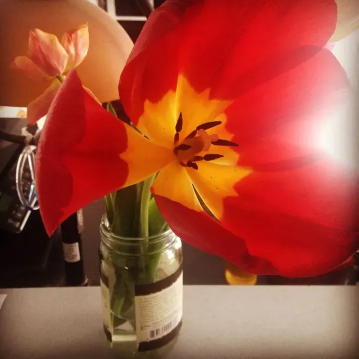 https://cdn.salonspotlight.com/photos/7r83Owo1OlTwkQEWAabD/e4e4c458-3163-428e-84b3-cff134d917f5_720x720