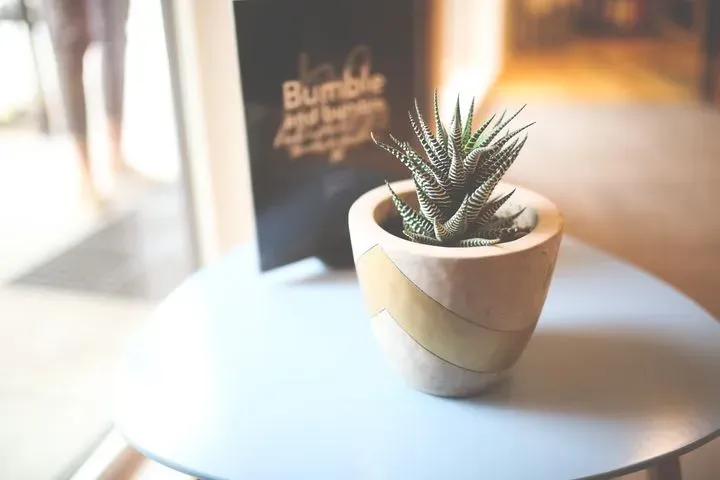 https://cdn.salonspotlight.com/photos/7t4wYbHYcupDB4QFkMVb/3982bc63-e0b1-46a7-ad8a-7a665291ef2b_720x720