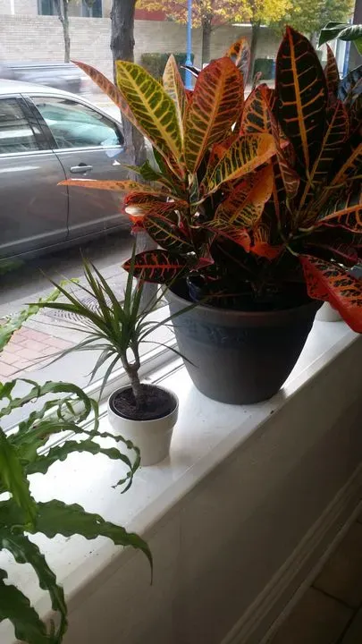 https://cdn.salonspotlight.com/photos/9AoMMGUD6BFckuiUz0xg/3c0caacb-e12e-4a8a-8379-932db01a752e_720x720