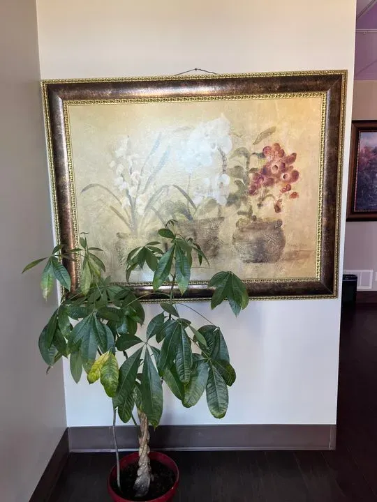https://cdn.salonspotlight.com/photos/9S29rsZgunYyBsELKrzq/b836fc40-b652-410d-831e-4fd14ce6aeb0_720x720