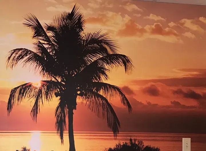 https://cdn.salonspotlight.com/photos/ACJcHgOTMe7rrRvC1Qhw/a00fce79-89e5-4431-b55c-8a67d2f3a132_720x720