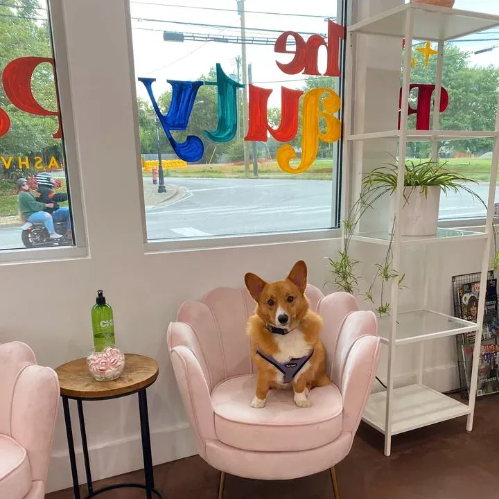 https://cdn.salonspotlight.com/photos/AweFF6WaxJ0gxYptkaqG/ea9186b4-ec6e-403b-b790-da7d1145d776_720x720