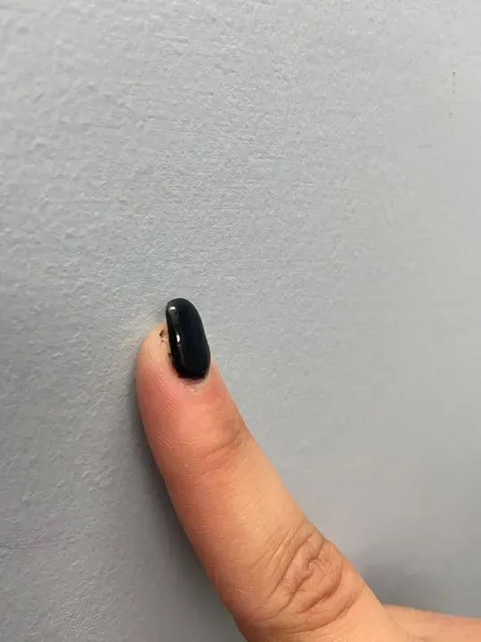 https://cdn.salonspotlight.com/photos/DaUv80xLSWXCiWVo5457/d67077d3-1cd1-4e57-8553-f852faf744ad_720x720