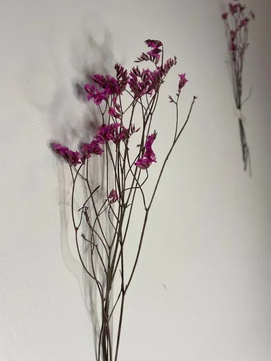 https://cdn.salonspotlight.com/photos/EHJ3vyFHafLefHjhcgu5/9ae38753-8d7c-4a2a-ab1d-4abe2fa862d8_720x720
