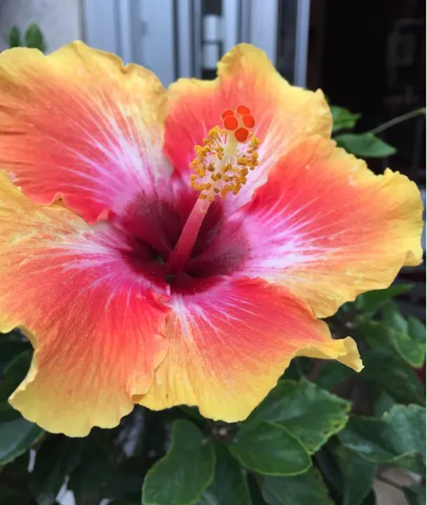 https://cdn.salonspotlight.com/photos/FsPozdcT3oSqVmm0b0XJ/061e50be-8cf0-4dc0-a07f-4a4fb0364c47_720x720