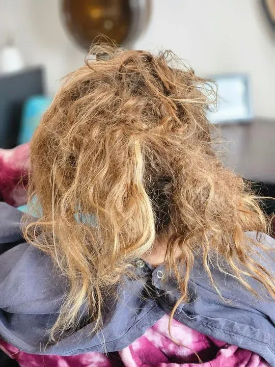 https://cdn.salonspotlight.com/photos/Jl3l0dF7dPQpMMNRjsr4/000b44f4-77d3-4551-bbc2-2a9ff33ded33_720x720
