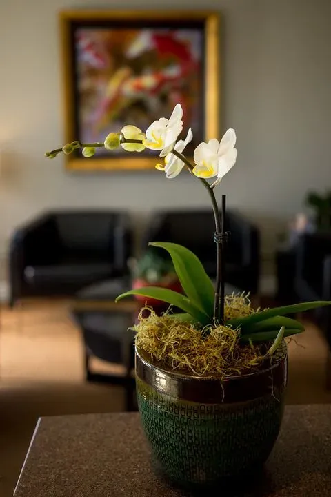 https://cdn.salonspotlight.com/photos/L0iruWRJlgWNvfGS8a5v/77466ca3-0239-4f04-a7f0-1d2387a796ab_720x720