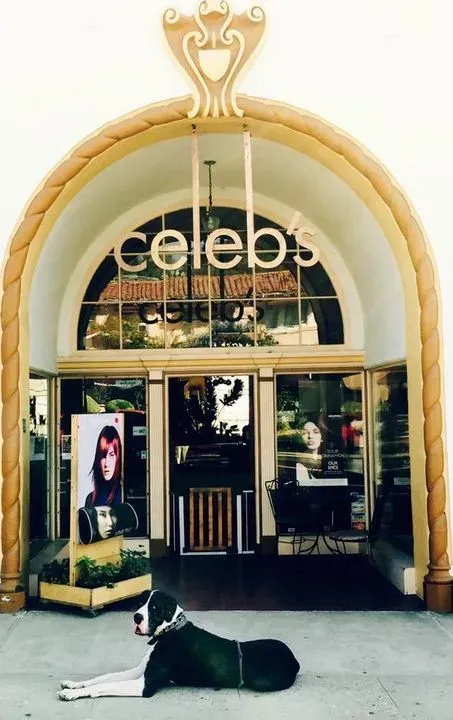 https://cdn.salonspotlight.com/photos/LR8Y2G2i65oIDrT5HPmE/d806a9d0-0737-4c09-9a0d-cb1aba4b278e_720x720