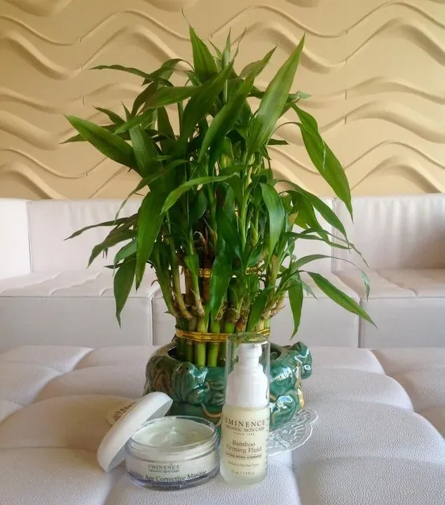https://cdn.salonspotlight.com/photos/NSfWMJDFdCZ1fau1MY5q/1e90deea-3188-49bf-9491-b6da1e59de71_720x720