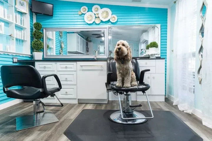 https://cdn.salonspotlight.com/photos/NfpWOXWBzVX1d4tERjz2/26280463-43ad-4e67-af65-4f49cc90ba03_720x720