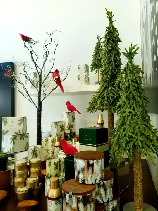 https://cdn.salonspotlight.com/photos/RoPErI4siePgIrUbFAOm/058a9a12-1c83-48b9-8223-87ffdd7450c9_720x720