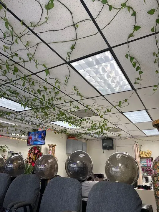 https://cdn.salonspotlight.com/photos/S3gewVXyLLz7b65NWyL7/0d7ea09e-c489-4c6e-9a2f-0f97c2b5d29b_720x720