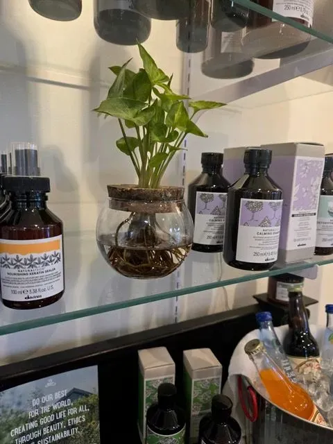 https://cdn.salonspotlight.com/photos/TuVAUXcJsw28zvvFQjL4/070f1c29-0093-49cf-9c3e-0647cec424a7_720x720