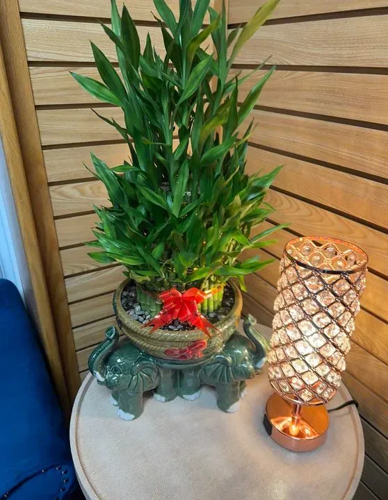 https://cdn.salonspotlight.com/photos/U0IxRbnBfWBDsXyH2UjR/e17feaf2-1d07-48f3-9a9e-de439642c842_720x720