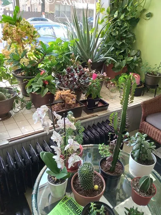 https://cdn.salonspotlight.com/photos/U73pzfYVFlptrFRjXWwg/64a4097f-440a-4ac9-9cc2-08de271b9091_720x720