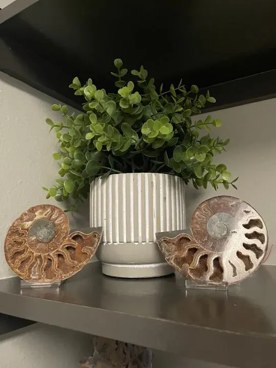 https://cdn.salonspotlight.com/photos/UeDxBguaah3uvf8A5MbQ/174ff663-74e4-4c5c-9f2b-6814a722b269_720x720