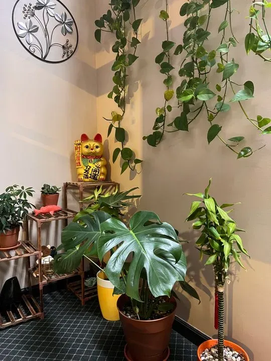 https://cdn.salonspotlight.com/photos/Vqg5eADteT93o8Moo5cm/8d318adb-f94f-49da-b9cd-bf07e4e7266f_720x720
