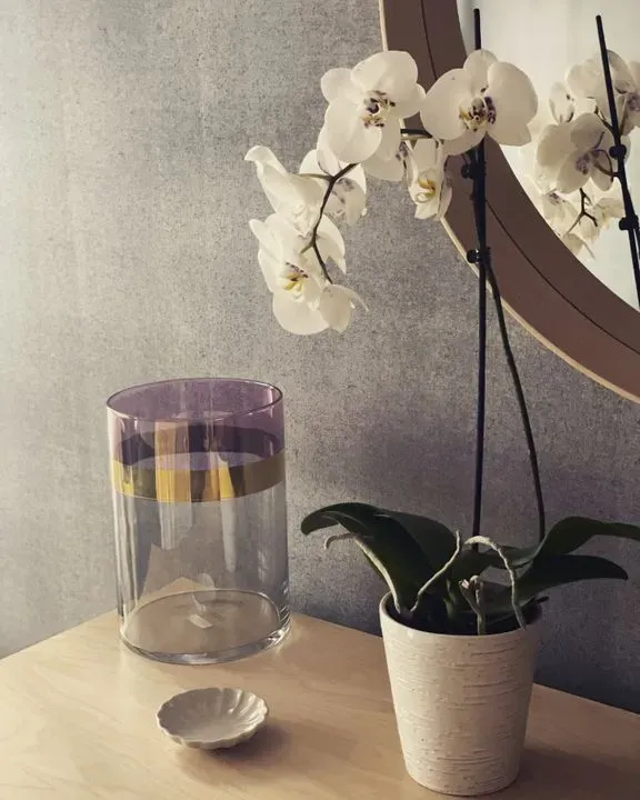 https://cdn.salonspotlight.com/photos/XBxs3sy59ATdM84IIZwO/3d9fc7c8-adea-45a4-acef-41dfbcb3d8e4_720x720