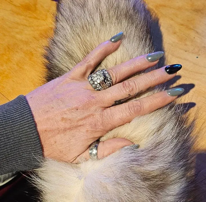 https://cdn.salonspotlight.com/photos/aiWxy3C5zuQWKWWEiDh4/e4b5c4db-6d10-4e7f-9b84-2c302071e624_720x720