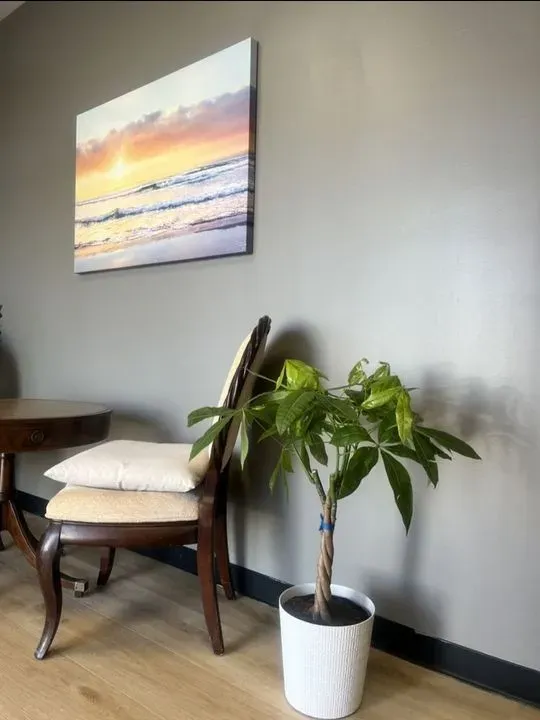 https://cdn.salonspotlight.com/photos/bLEaTPdVmqVRs7FiAhsq/565a0ac8-cafd-47e8-8ac8-9a758427282f_720x720