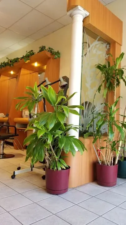 https://cdn.salonspotlight.com/photos/bzyZaSlkBY3z4t5g7yWw/0bf5a328-d503-49a9-97d8-97e11b4a3158_720x720