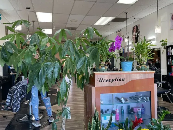 https://cdn.salonspotlight.com/photos/dQoEq9sctvNcYMnOYhik/ed5fd319-7777-4bdb-9864-a02c0a7b6f1e_720x720