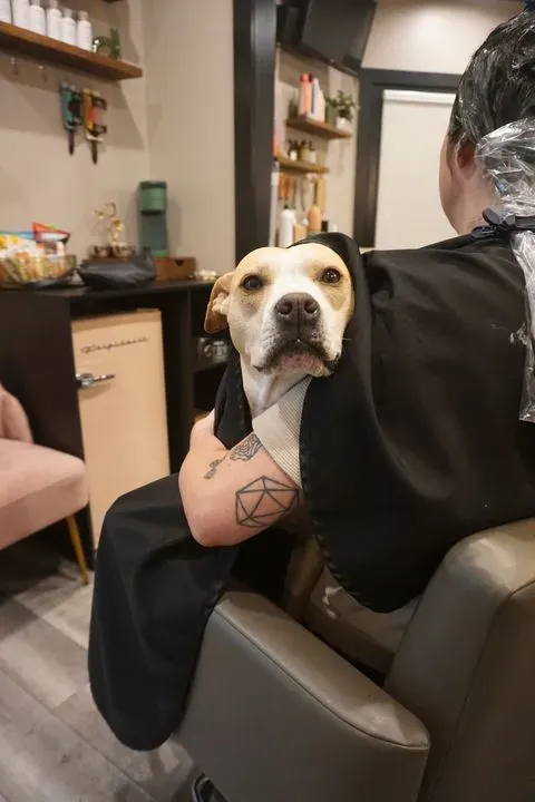 https://cdn.salonspotlight.com/photos/giVp4Z0mmtkWYq2UzR3X/e4cd45cc-332e-48c8-9762-899b4976a283_720x720