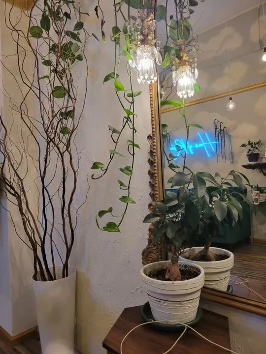 https://cdn.salonspotlight.com/photos/gqNqnqBj1xA7HvHOUV1c/57cfe12c-819f-4a85-ba8b-250fb352f957_720x720