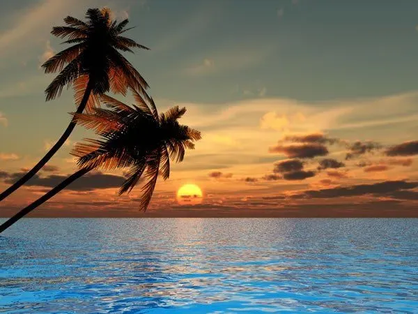 https://cdn.salonspotlight.com/photos/jEBDeH46QU7NK0BxTgI0/5b22b465-adaf-4fea-a927-6a0d365ba1b7_720x720