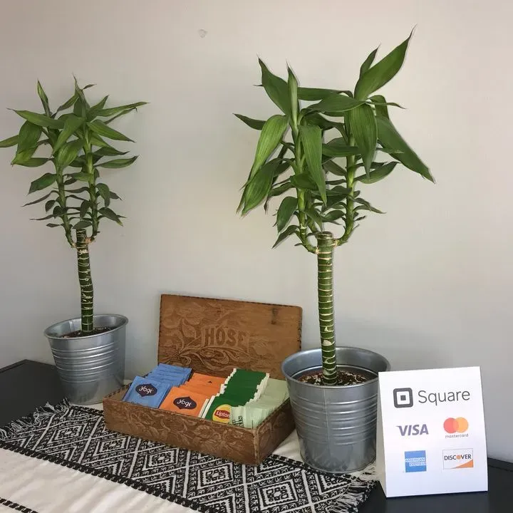 https://cdn.salonspotlight.com/photos/jjoeyhlzfOTYIlIPWjaU/83636281-6ff4-46f2-b8de-5bdc9b3b1c31_720x720