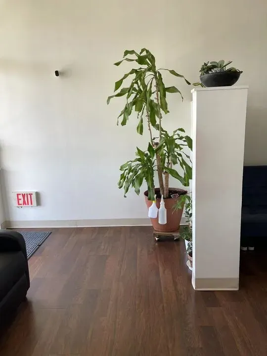 https://cdn.salonspotlight.com/photos/lSMZwfZGljkVGMkCIhia/b309e73e-0add-42aa-aa50-db20825fde2b_720x720