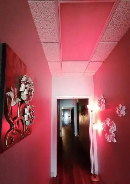 https://cdn.salonspotlight.com/photos/luyqhjZLnfiSKZTRErdq/40284ac9-3398-4355-b995-ae93226ccc9e_720x720