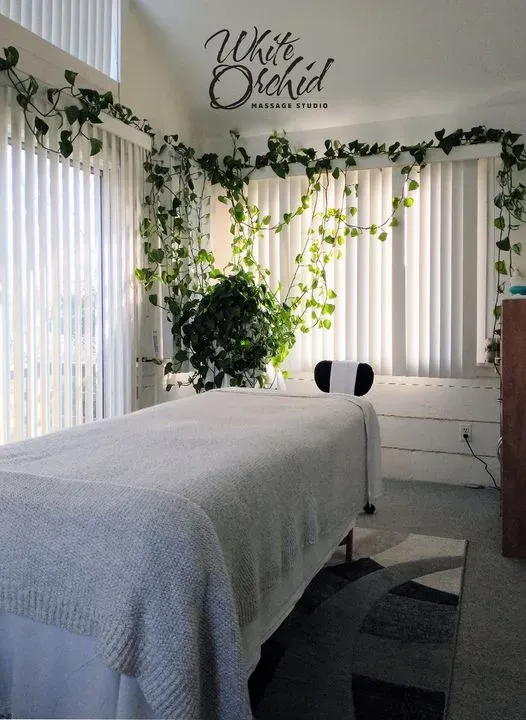 https://cdn.salonspotlight.com/photos/nJ8VkWrScguCmQueARQ5/4a7d01c1-611e-49ee-bcad-240c76123afa_720x720