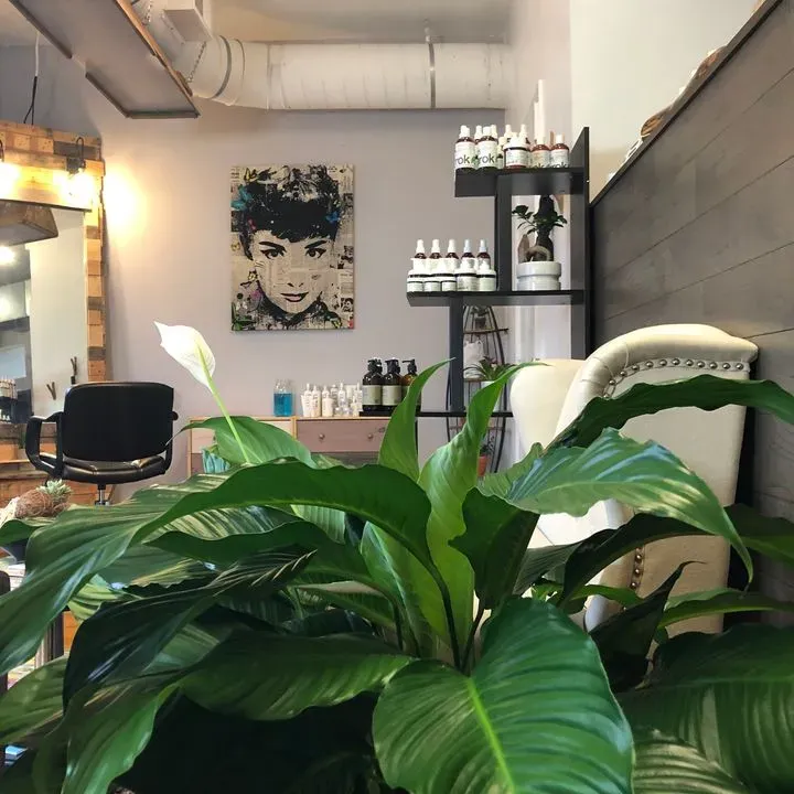 https://cdn.salonspotlight.com/photos/oBXmXIwjjKYOWlusvZjz/33b5673d-7c5a-4494-b850-17a77d205fc1_720x720