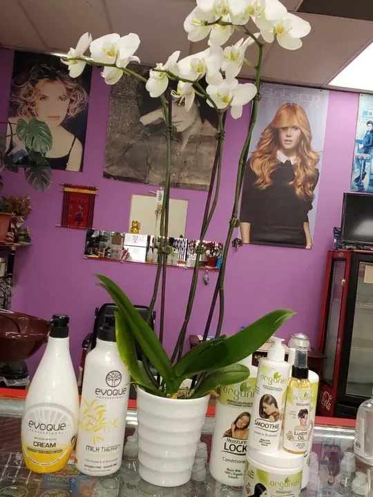 https://cdn.salonspotlight.com/photos/qooQiU6MF1GI216dRYah/0b73f942-ac1f-4909-8263-f037fafbb635_720x720