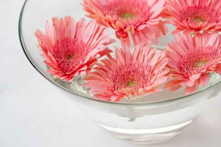 https://cdn.salonspotlight.com/photos/uaLXn6KtcLQaD65Yg81C/3b3795f6-a0d7-42a4-be78-d0023dce4a9c_720x720