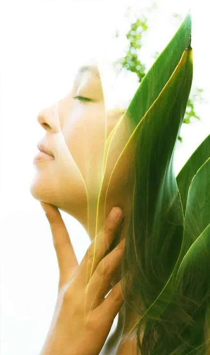 https://cdn.salonspotlight.com/photos/ydpDGLtbz9XfZbsPI40X/29294d9e-4148-4395-9609-46973cbffd40_720x720
