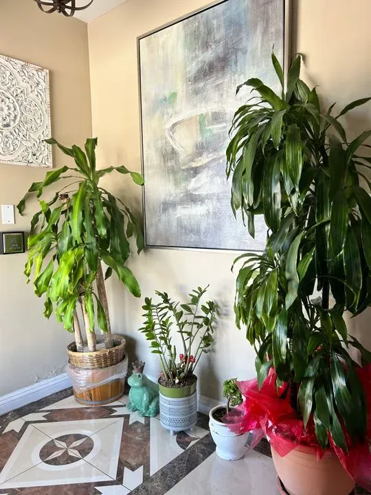 https://cdn.salonspotlight.com/photos/ypwiwOxv3w8lvQKKn6wP/32026acf-9a45-461e-a182-5df7f01fed20_720x720