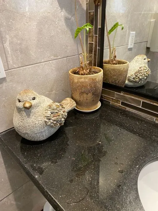 https://cdn.salonspotlight.com/photos/ypwiwOxv3w8lvQKKn6wP/9ee87378-7cb3-4d83-874c-de8ed6d4e2ee_720x720