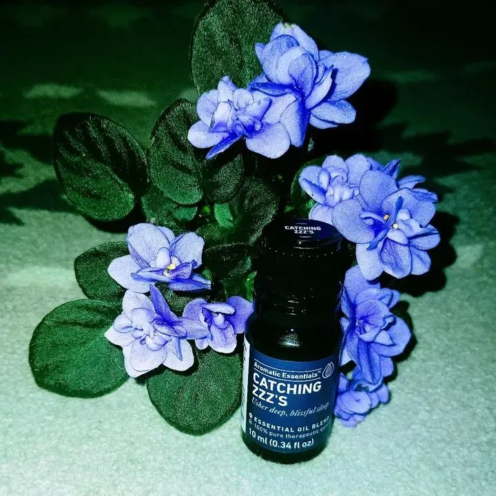 https://cdn.salonspotlight.com/photos/z1vcopyvTTKs1jZ2Icso/7e1fc475-d0c4-4eb0-bc06-6529c353eb90_720x720