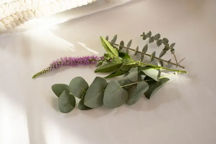 https://cdn.salonspotlight.com/photos/znzqaZHrPMiQP4tEhmqj/62d4e6eb-c1cc-434b-9dc1-5ddde6930243_720x720
